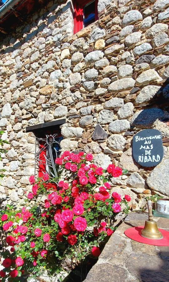 Le Mas De Ribard Bréau-et-Salagosse Buitenkant foto